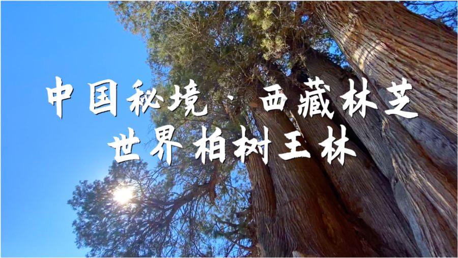 收盘：美股涨跌不一 标普指数再创新高
